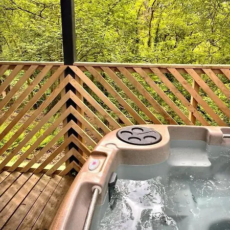 Goldcrest 3-Hot Tub-Woodland Lodges-Carmarthenshire-Tenby Esterno foto
