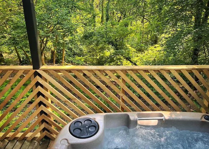 Goldcrest 3-Hot Tub-Woodland Lodges-Carmarthenshire-Tenby